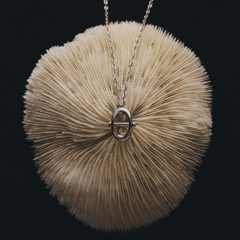 Ouroboros Necklace Image