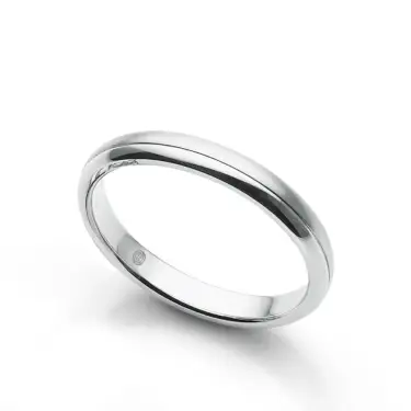 Forge Ring, Orion Arc Image
