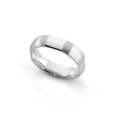 Forge Ring, Aether Verge Image