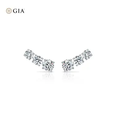Timeless Ear Crawler Earrings Image