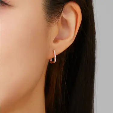 Timeless Hoop Earrings, Petite Loop Image